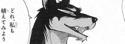 サンプル