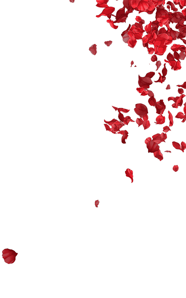 花びら