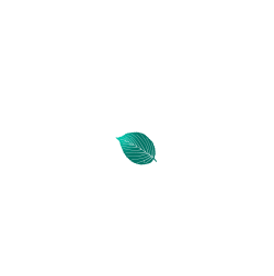 小説情報